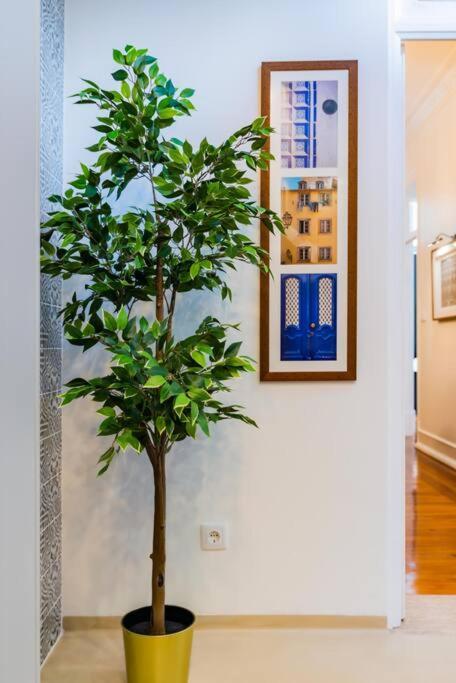 Apartment Wfh Luxury With Gourmet Kitchen